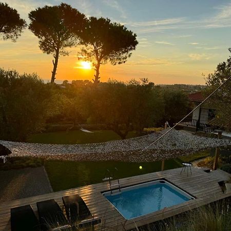 Sea View Villa In Olive Garden Nea Kallikrateia Екстериор снимка