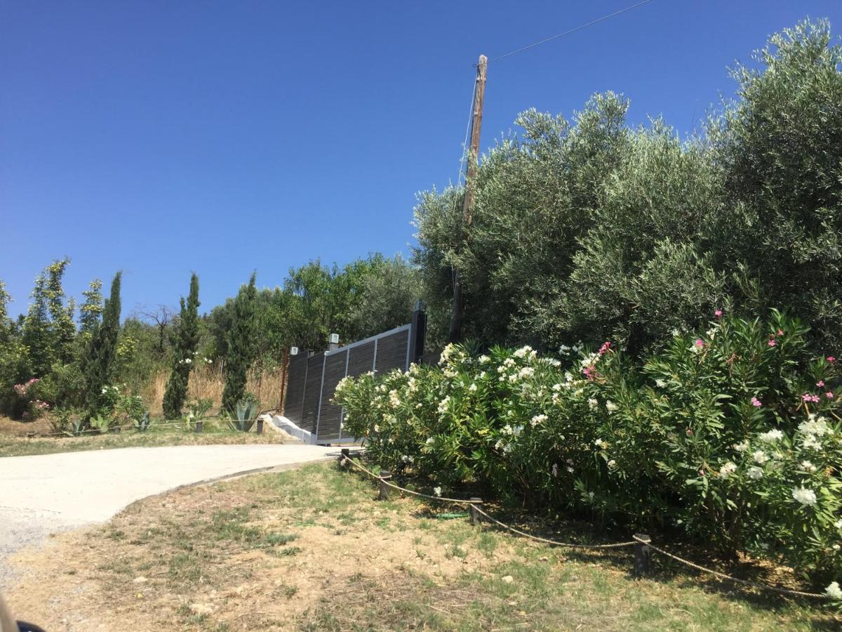 Sea View Villa In Olive Garden Nea Kallikrateia Екстериор снимка