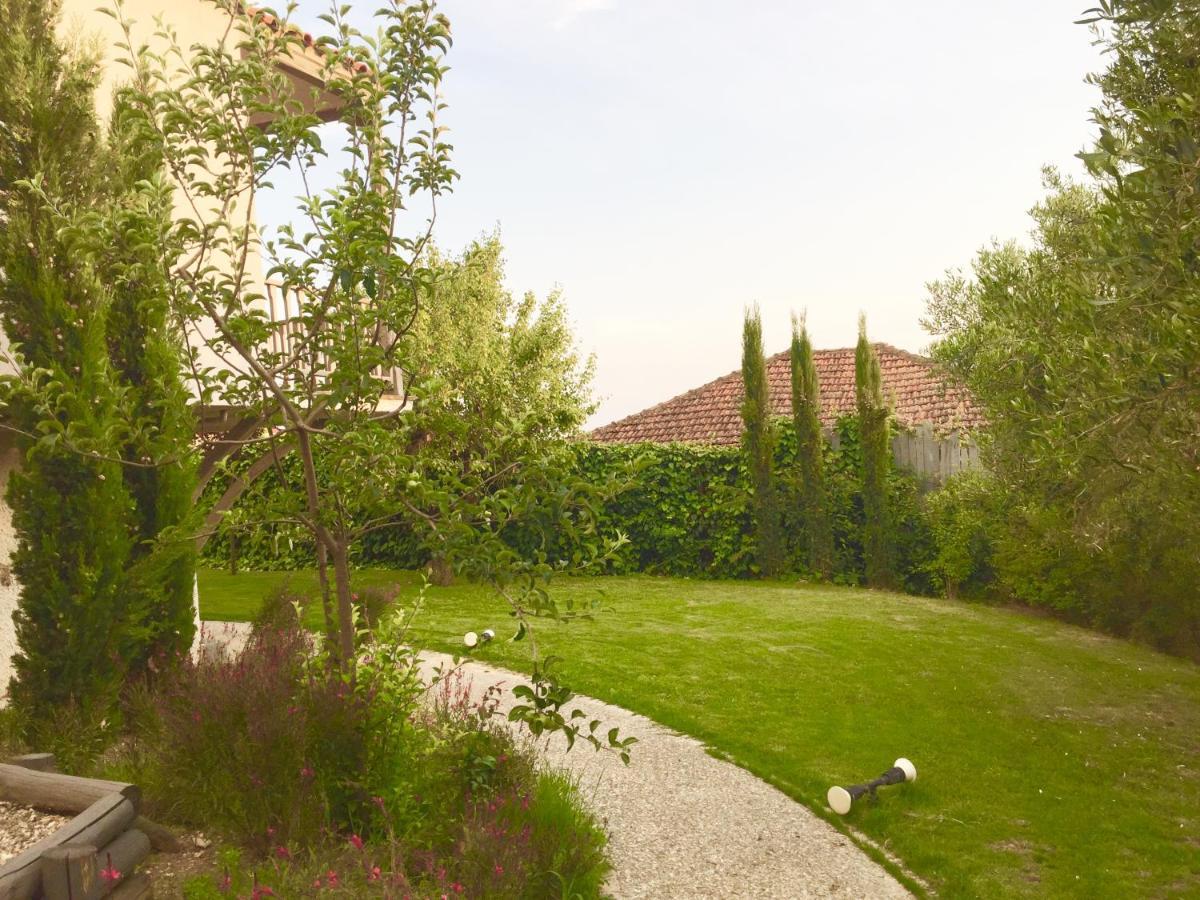 Sea View Villa In Olive Garden Nea Kallikrateia Екстериор снимка