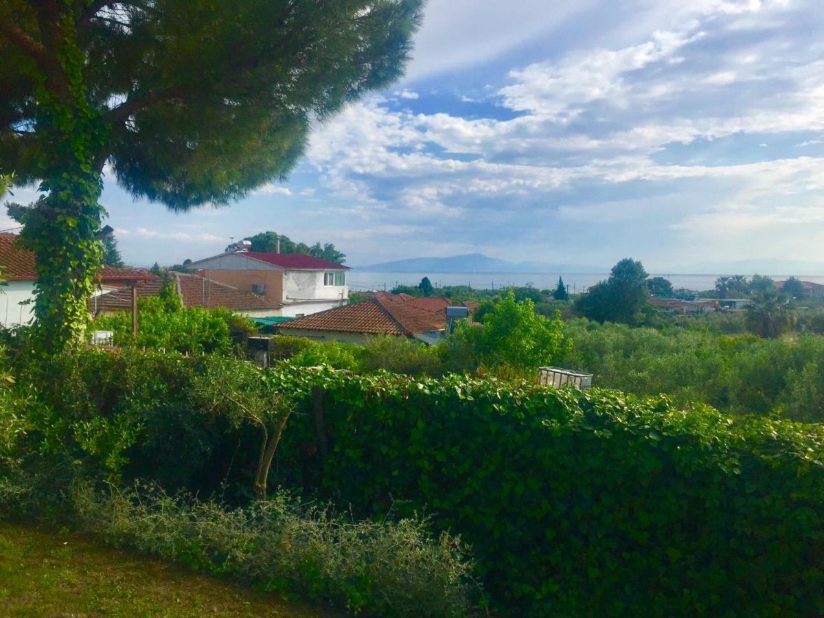 Sea View Villa In Olive Garden Nea Kallikrateia Екстериор снимка