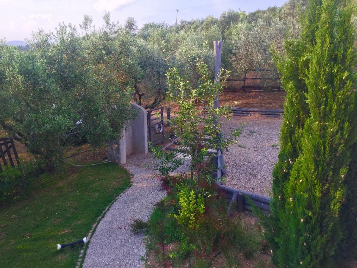 Sea View Villa In Olive Garden Nea Kallikrateia Екстериор снимка