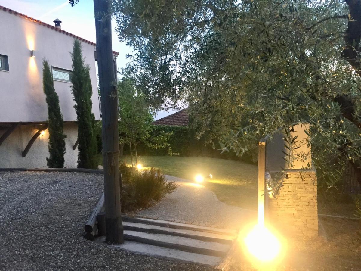 Sea View Villa In Olive Garden Nea Kallikrateia Екстериор снимка