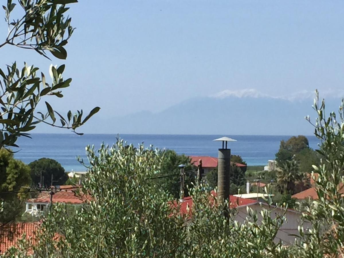 Sea View Villa In Olive Garden Nea Kallikrateia Екстериор снимка